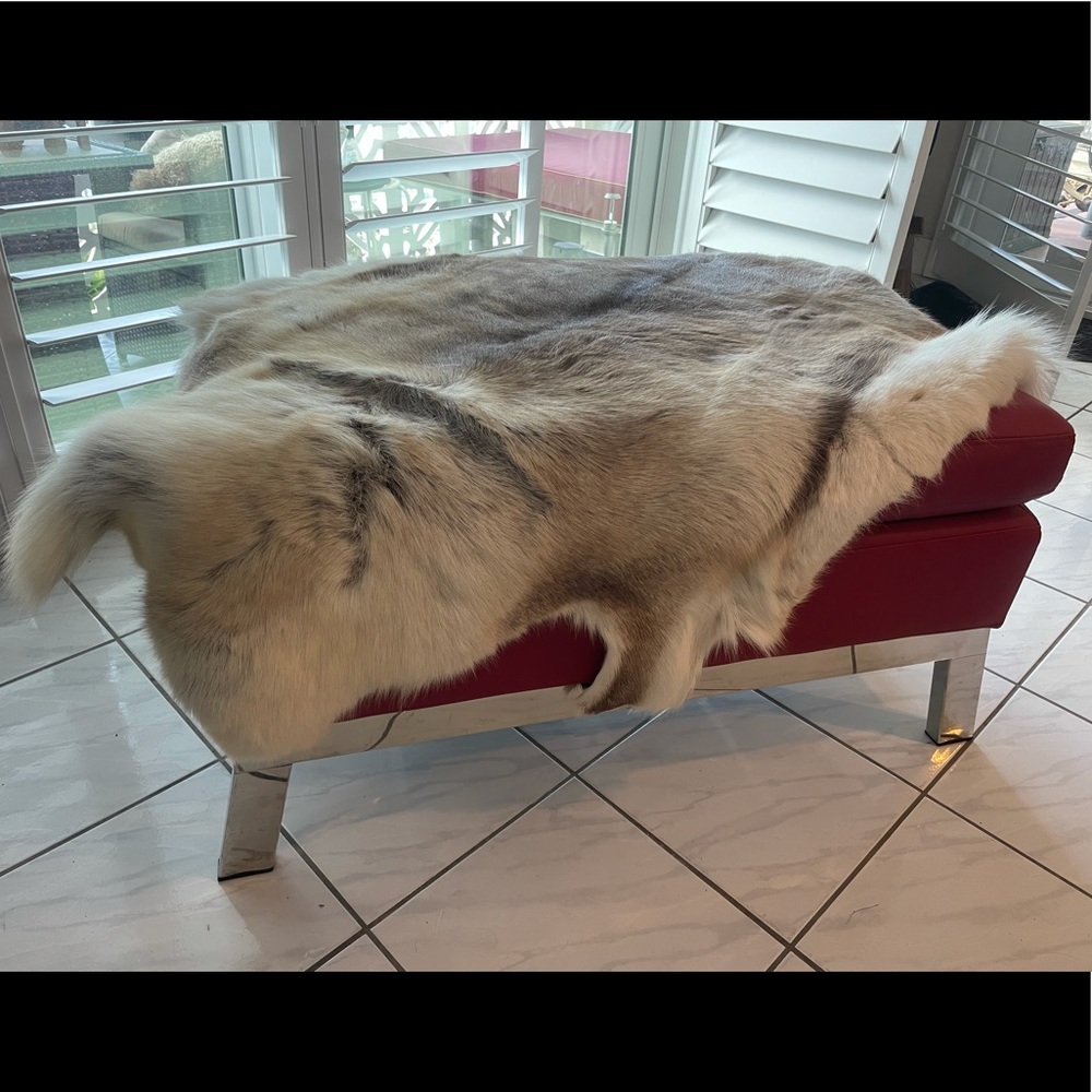 Minotti Big Fox Fur Throw